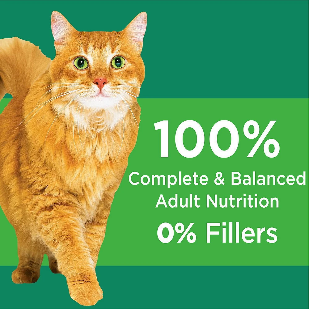 Iams Proactive Health Healthy Senior with Chicken Dry Cat Food, 1.59-3.18kg