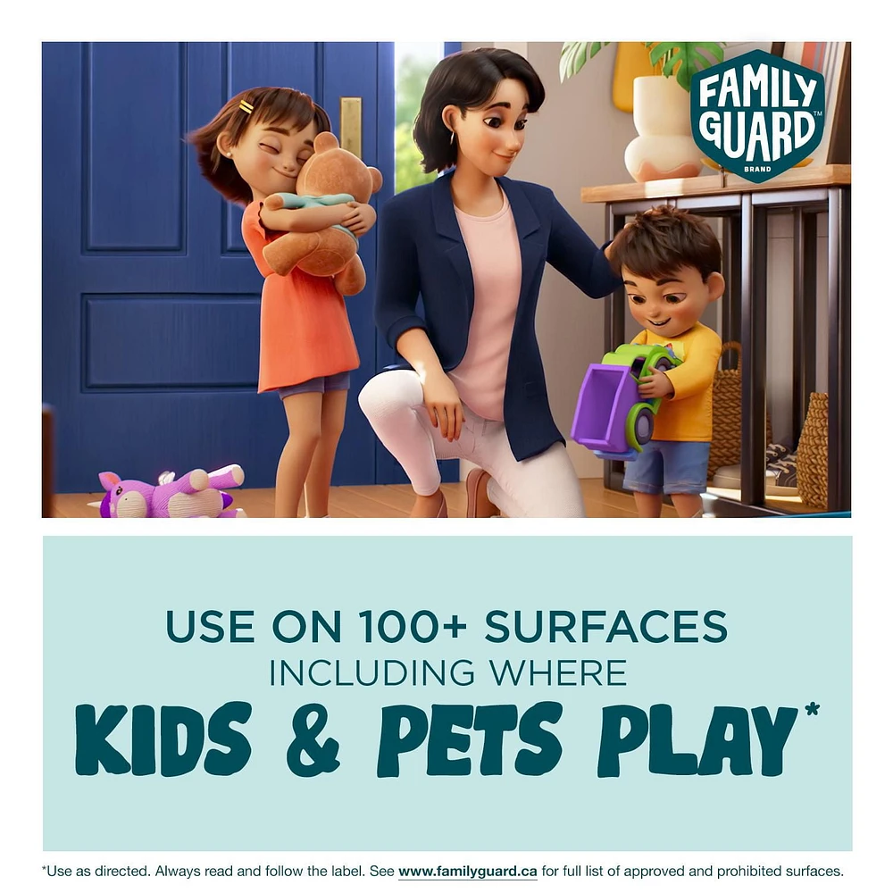 Family Guard™ Disinfectant Spray, Kills 99.9% of Germs, Citrus Scent, 496g