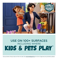 Family Guard™ Disinfectant Spray, Kills 99.9% of Germs, Citrus Scent, 496g