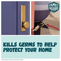 Family Guard™ Disinfectant Spray, Kills 99.9% of Germs, Citrus Scent, 496g