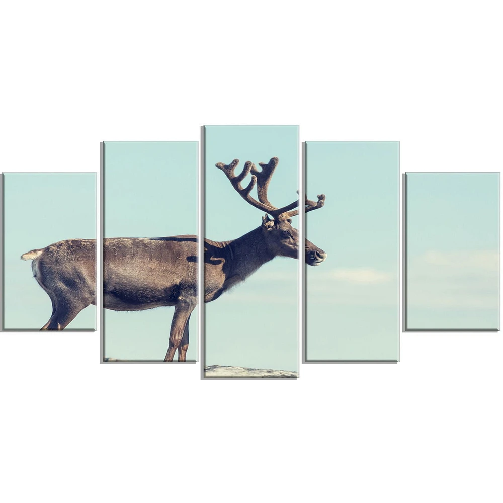 Design Art Large Reindeer in Norway Canvas Print