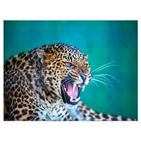 Design Art Wild Leopard Close up View Canvas Print