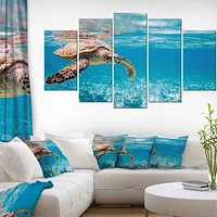 Design Art Large Hawksbill Sea Turtle Canvas Print