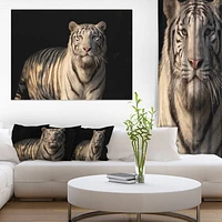 Design Art White Bengal Tiger on Black Canvas Print