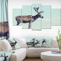 Design Art Large Reindeer in Norway Canvas Print