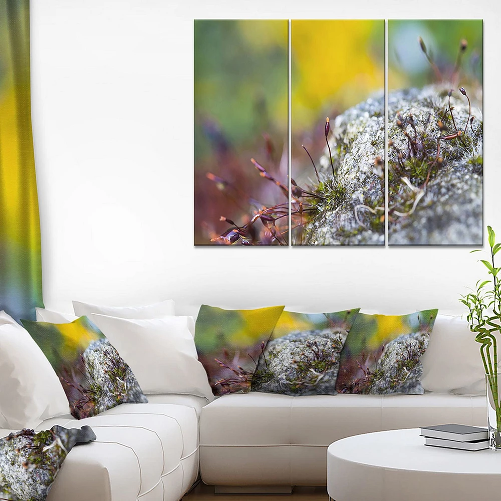 Design Art  Composition of Moss Flowers Canvas Print