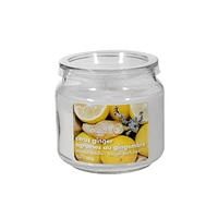 11 Oz Scented Jar With Pvc Lid (Citrus Ginger) - Set of 2