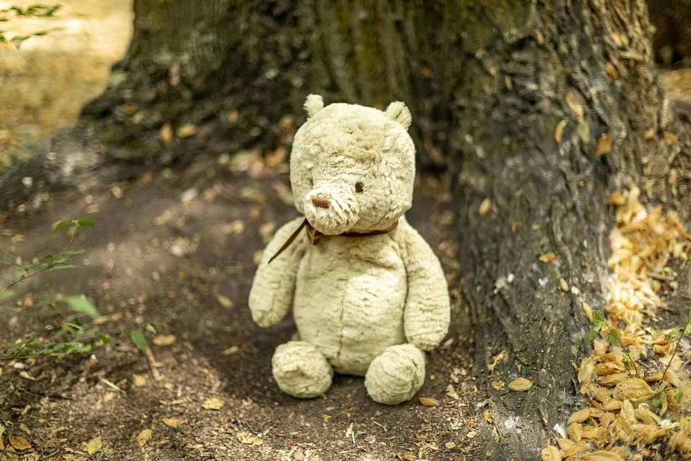 Disney - Peluche classique Pooh - 14" Large