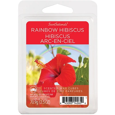 ScentSationals Scented Wax Cubes - Rainbow Hibiscus, 2.5 oz (70.9 g)