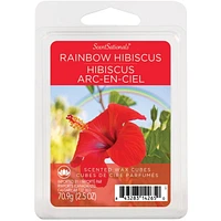 ScentSationals Scented Wax Cubes - Rainbow Hibiscus, 2.5 oz (70.9 g)