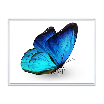 Designart Vibrant Blue Butterfly FLOAT FRAME WALL ART