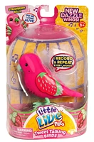 Little Live Pets Tweet Talking Birds Strawberry Belle Toy