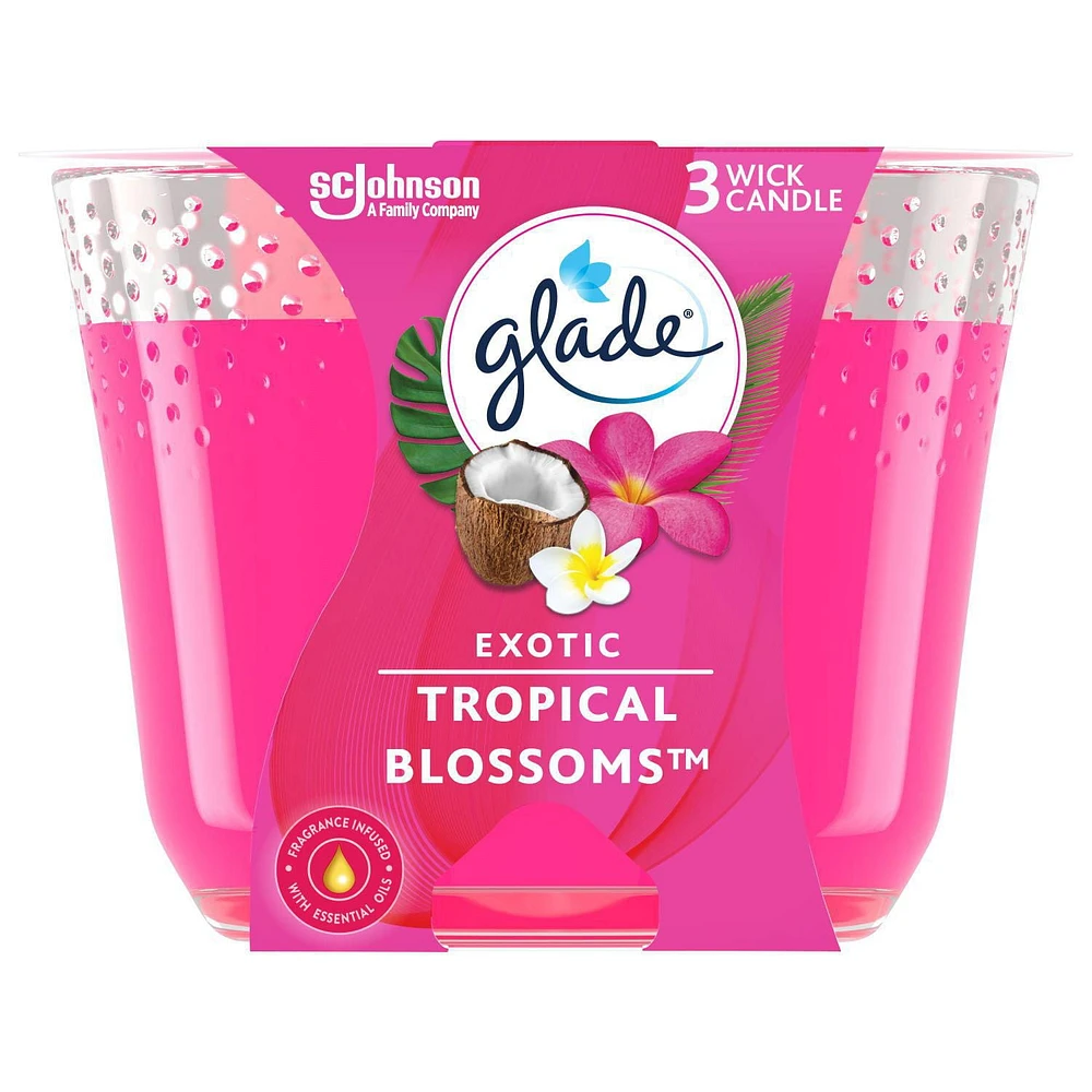 Glade® Scented Candle Air Freshener, Exotic Tropical Blossoms, 3-Wick Candle