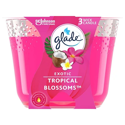 Glade® Chandelle parfumée, Fleurs tropicales exotiques Chandelle à trois mèches