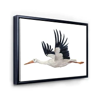 Designart Flying White Stork Ciconia Bird FLOAT FRAME WALL ART