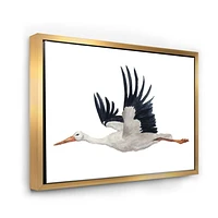 Designart Flying White Stork Ciconia Bird FLOAT FRAME WALL ART