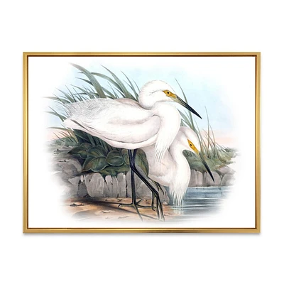 Designart Vintage Bird Life I FLOAT FRAME WALL ART