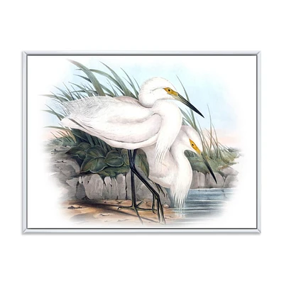 Designart Vintage Bird Life I FLOAT FRAME WALL ART