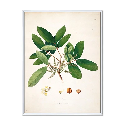 Designart Vintage Botanicals II FLOAT FRAME WALL ART