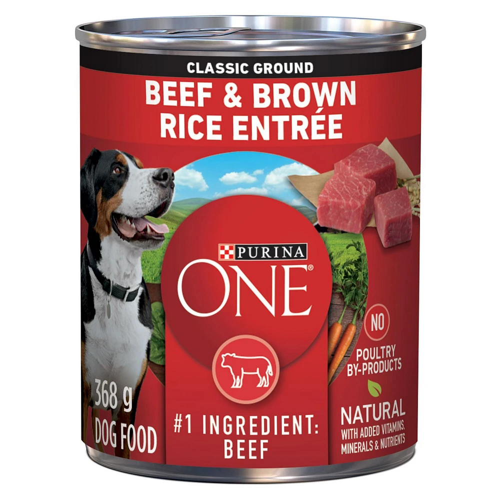Purina ONE SmartBlend Moulue Classique Entrée de Boeuf et Riz Brun, Nourriture Humide pour Chiens 368 g 368g