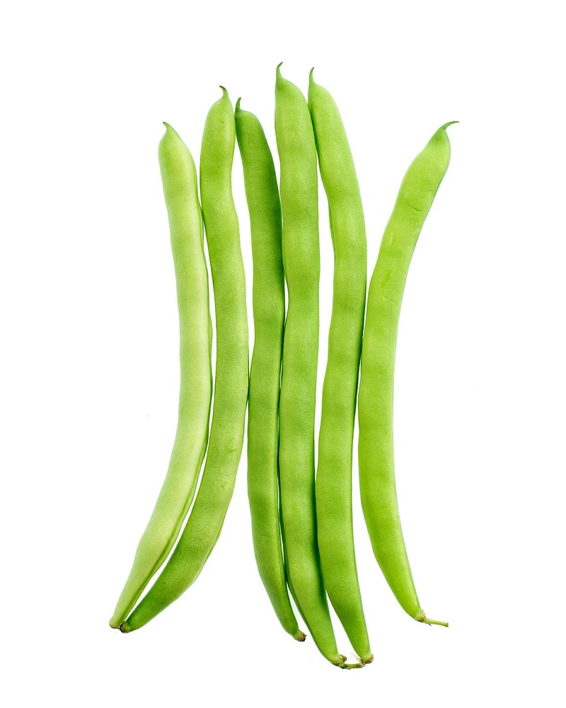 Haricot Long Haricots