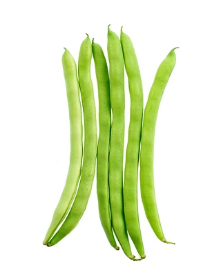 Haricot Long Haricots