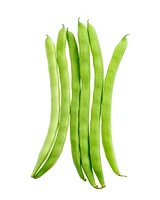 Haricot Long Haricots