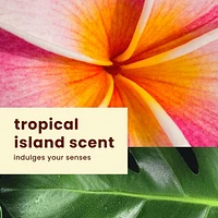 Hawaiian Tropic® Sheer Touch ® Sunscreen Lotion SPF 30, 240ml