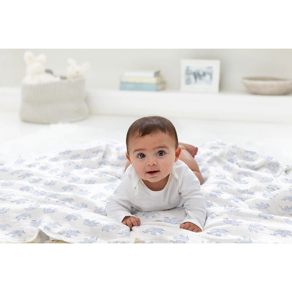 Aden + Anais™ Essentials 2-Pack Swaddles - Cotton Muslin