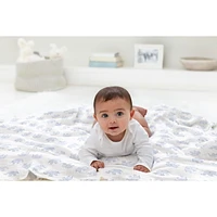 Aden + Anais™ Essentials 2-Pack Swaddles - Cotton Muslin