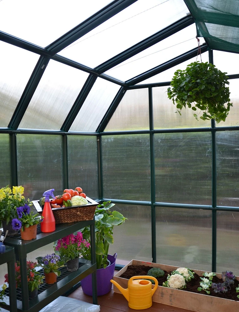 Rion 8 ft. X 12 ft. Prestige Greenhouse