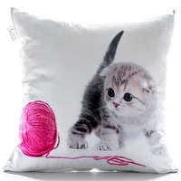 Gouchee Design BABY CAT Cushion