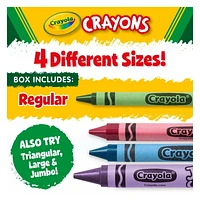 Crayola Crayon Classpack, 800 Count - 8 Colours