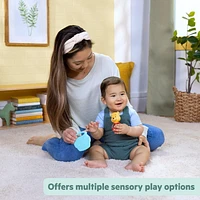 Bright Starts Disney Baby Winnie the Pooh Hunny & Shake Rattle & Teether