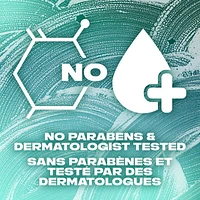 Nettoyant Corporel AXE  Ice Breaker Mandarine et Menthe