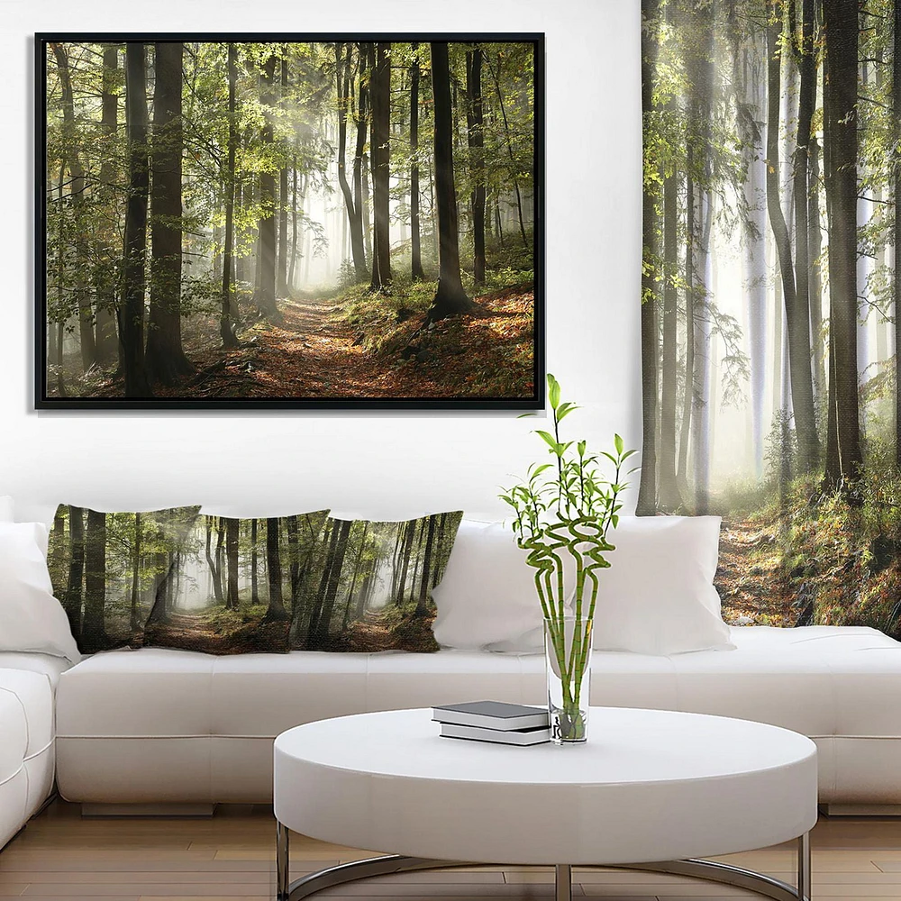 Designart Green Fall Forest with Sun Rays FLOAT FRAME WALL ART