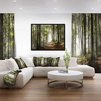 Designart Green Fall Forest with Sun Rays FLOAT FRAME WALL ART