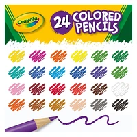 12 PACK BUNDLE OF 24 COUNT CRAYOLA COLOURED PENCILS