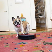 bObsweep PetHair SLAM Wi-Fi Connected Robot Vacuum and Mop in Jasper