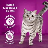 WHISKAS Adult Dry Cat Food Meaty Selections With Real Chicken, 2 - 9.1kg
