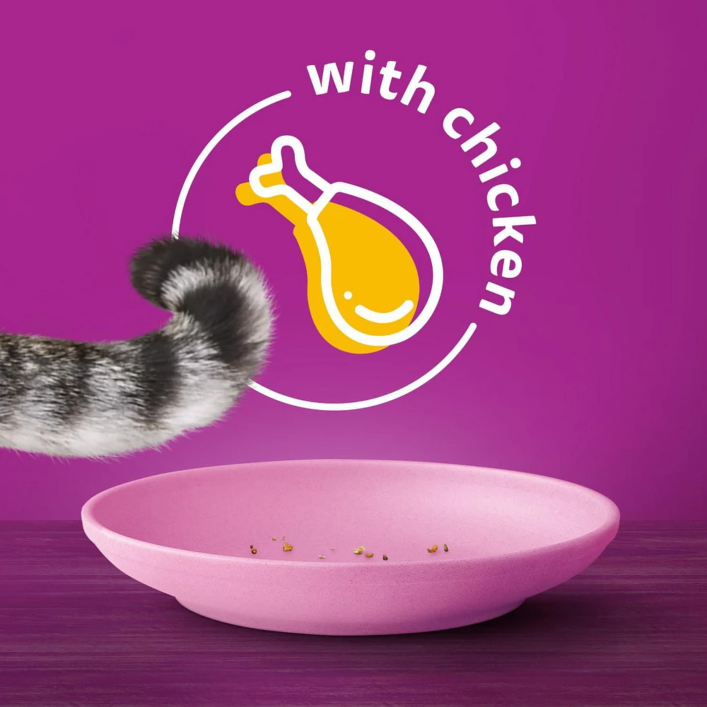 Whiskas Indoor High Protein with Real Chicken Dry Cat Food