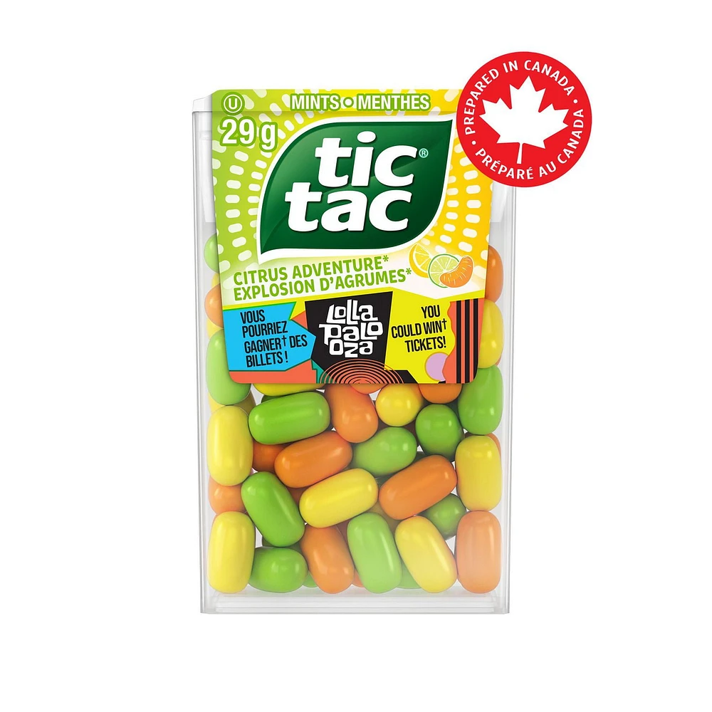 TIC TAC Mints, Citrus Adventure, Mint Candy, 60 Pills, 29g
