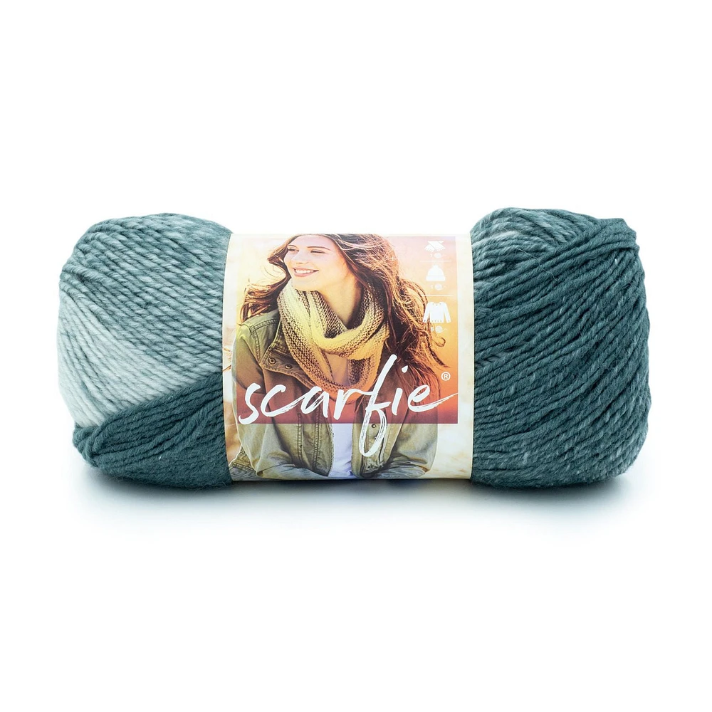 Lion Brand Scarfie Yarn Pale Grey/Bluestone, Fil Lion Brand Scarfie 30655582