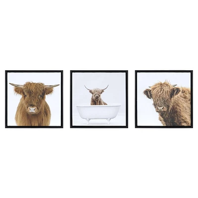 Sentra Highland Cows Framed Canvas Art Set, 13in W x 13in H x 1in D