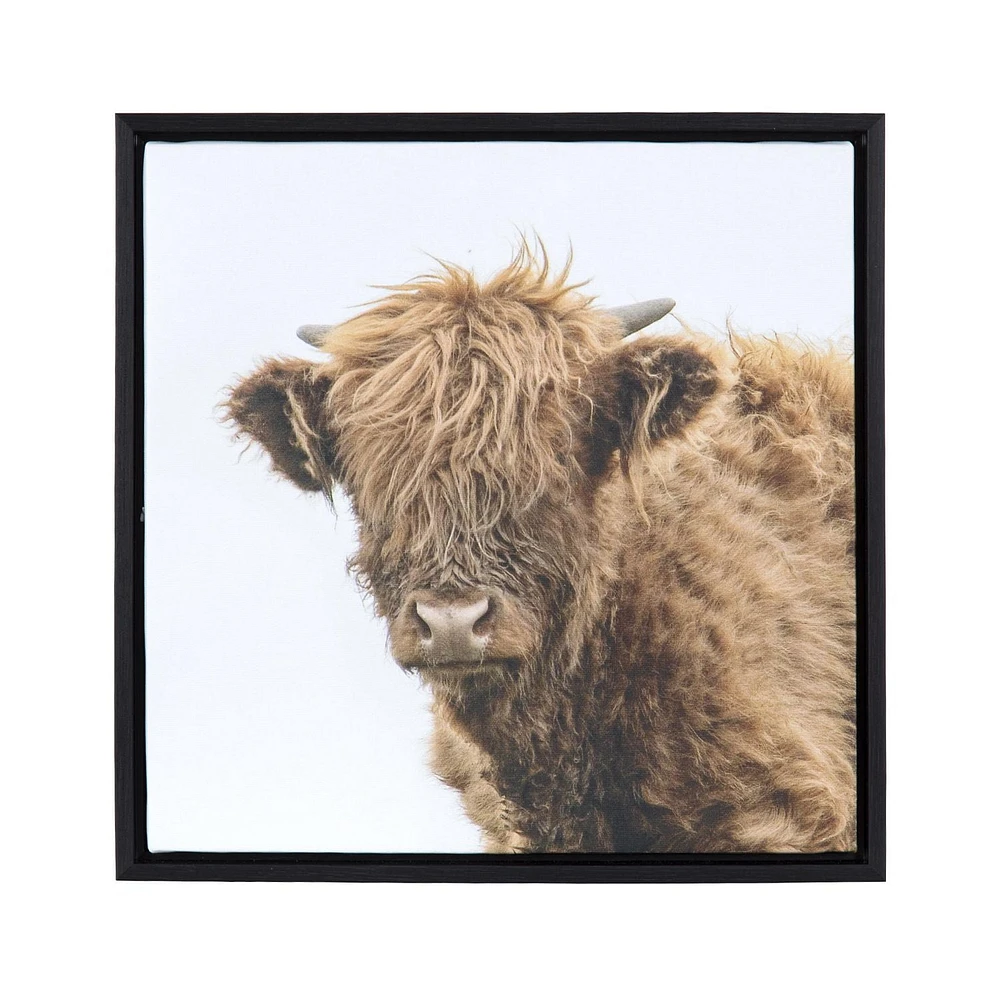 Sentra Highland Cows Framed Canvas Art Set, 13in W x 13in H x 1in D