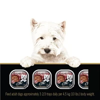 Cesar Home Delights Beef Stew Soft Wet Dog Food, 100g