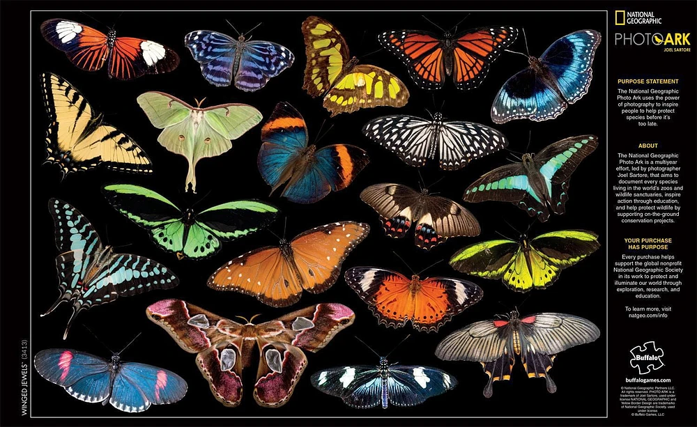 Buffalo Games - National Geographic - Joel Sartore - Winged Jewels - 500 Piece Jigsaw Puzzle