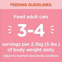 Iams Perfect Portions Grain Free Indoor Salmon Paté Healthy Adult Wet Cat Food, 75g