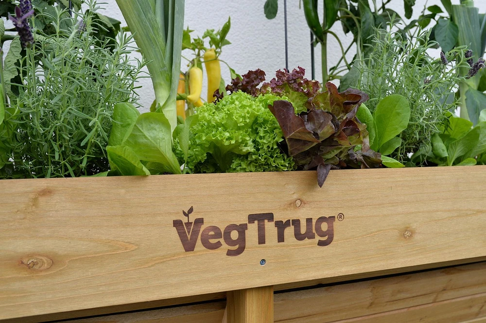 VegTrug Wall Hugger Raised Garden Bed Planter