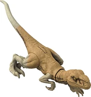 Jurassic World: Dominion Ferocious Pack Atrociraptor Dinosaur Figure